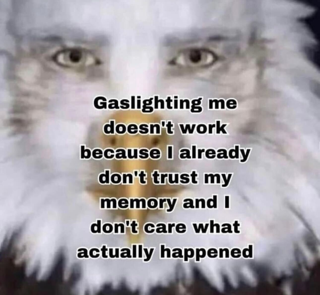 Gaslighting me doesn t work the best interent on the internet